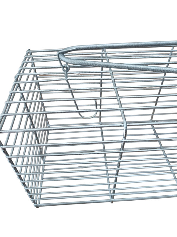 Jaula Rectangular Reforzada - Image 3