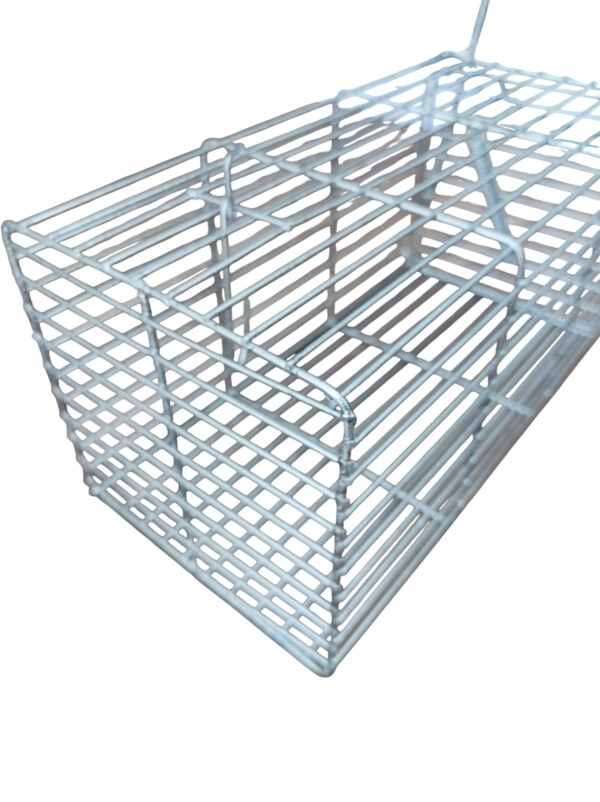 Jaula Rectangular Reforzada - Image 4