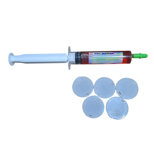 Kit Hormigas Carpinteras